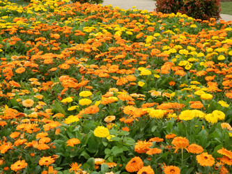 Similar image 1205086