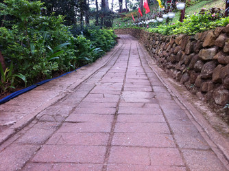 Similar image 1205089