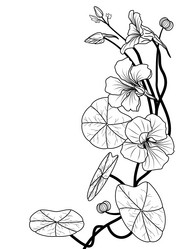 Similar image 1205093