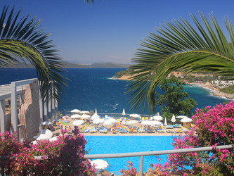 Similar image 1205109