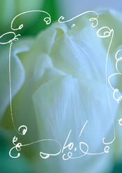 Similar image 1205172