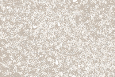 Similar image 1205173