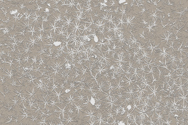 Similar image 1205174