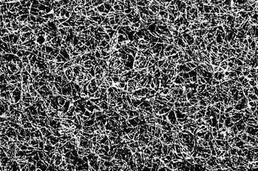 Similar image 1205175