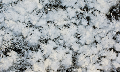 Similar image 1205177