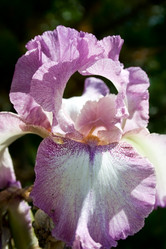 Similar image 1205179