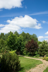 Similar image 1205180