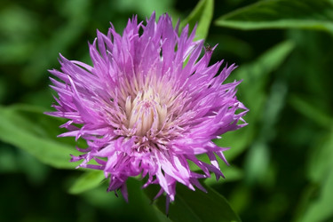 Similar image 1205184