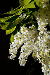 Similar image 1205185