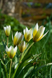 Similar image 1205188