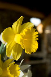 Similar image 1205189