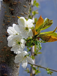 Similar image 1205210