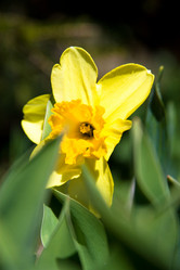 Similar image 1205224