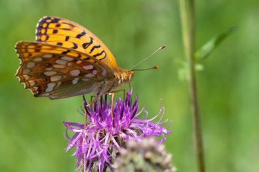 Similar image 1205227