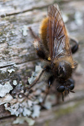 Similar image 1205228