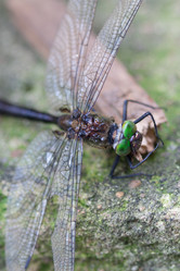 Similar image 1205229