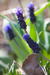 Similar image 1205230