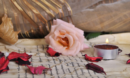 Similar image 1205243