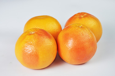 Similar image 1205254