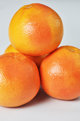 Similar image 1205256