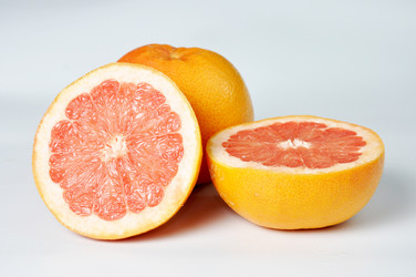 Similar image 1205257