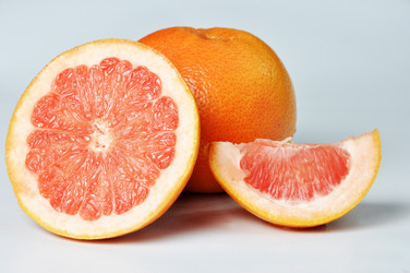 Similar image 1205259