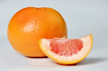 Similar image 1205260