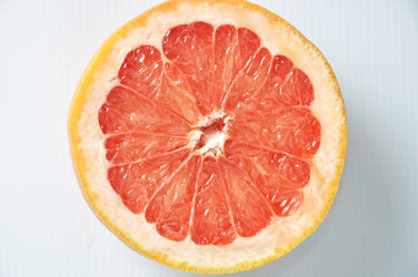 Similar image 1205261