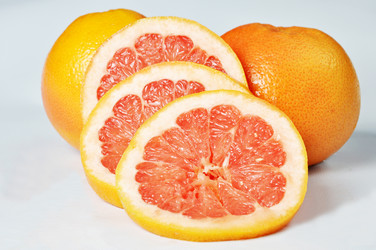 Similar image 1205267