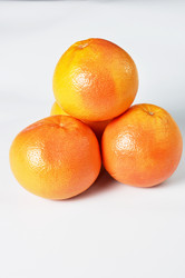 Similar image 1205268