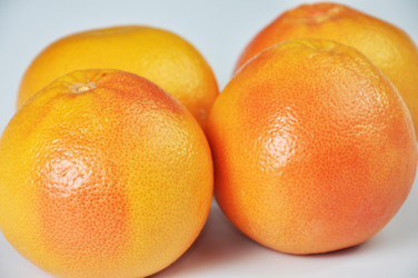 Similar image 1205269