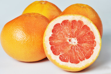 Similar image 1205288