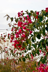 Similar image 1205312