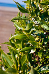 Similar image 1205313