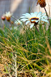 Similar image 1205314