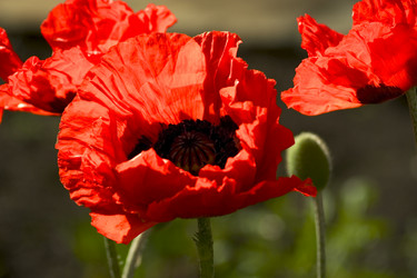 Similar image 1205318