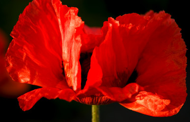 Similar image 1205320