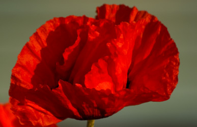 Similar image 1205322