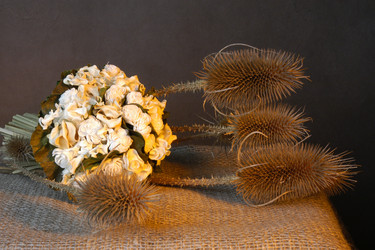 Similar image 1205323