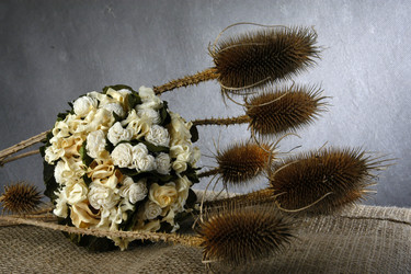 Similar image 1205324