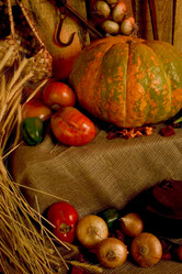 Similar image 1205329