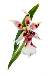 Similar image 1205366