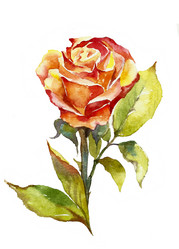 Similar image 1205367