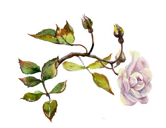 Similar image 1205368