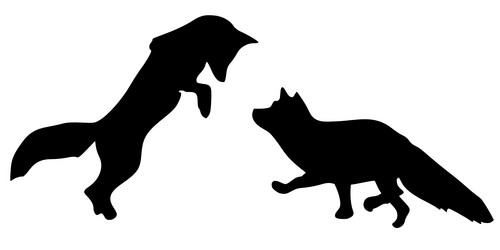 Similar image 1205433