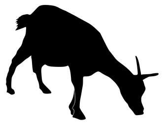 Similar image 1205442