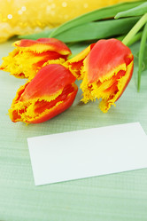 Similar image 1205452