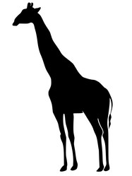 Similar image 1205456