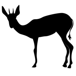 Similar image 1205458