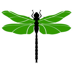 Similar image 1205472